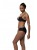 Dorina Eco Curacao Push Up Bikini Top