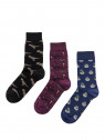Walk Gift box 3-Pack Κάλτσες Unisex Dinosaurs