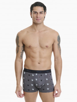 Walk Boxer Ανδρικό Bamboo Roosters Prints